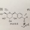 谁拿了我的炸鸡腿